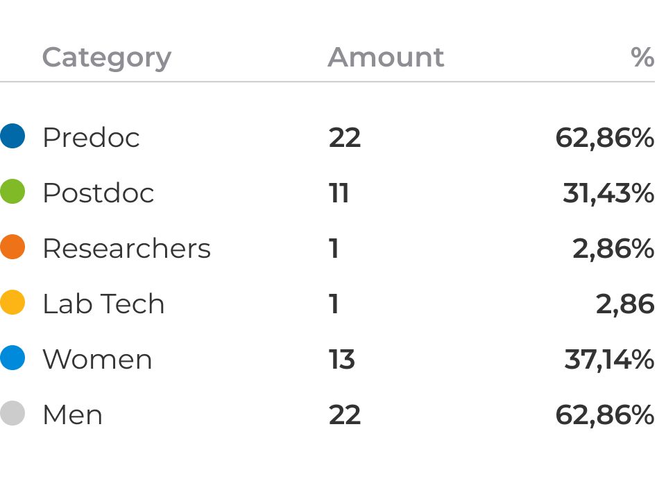 Data table illustrating the distribution of 35 team members by professional role and gender.