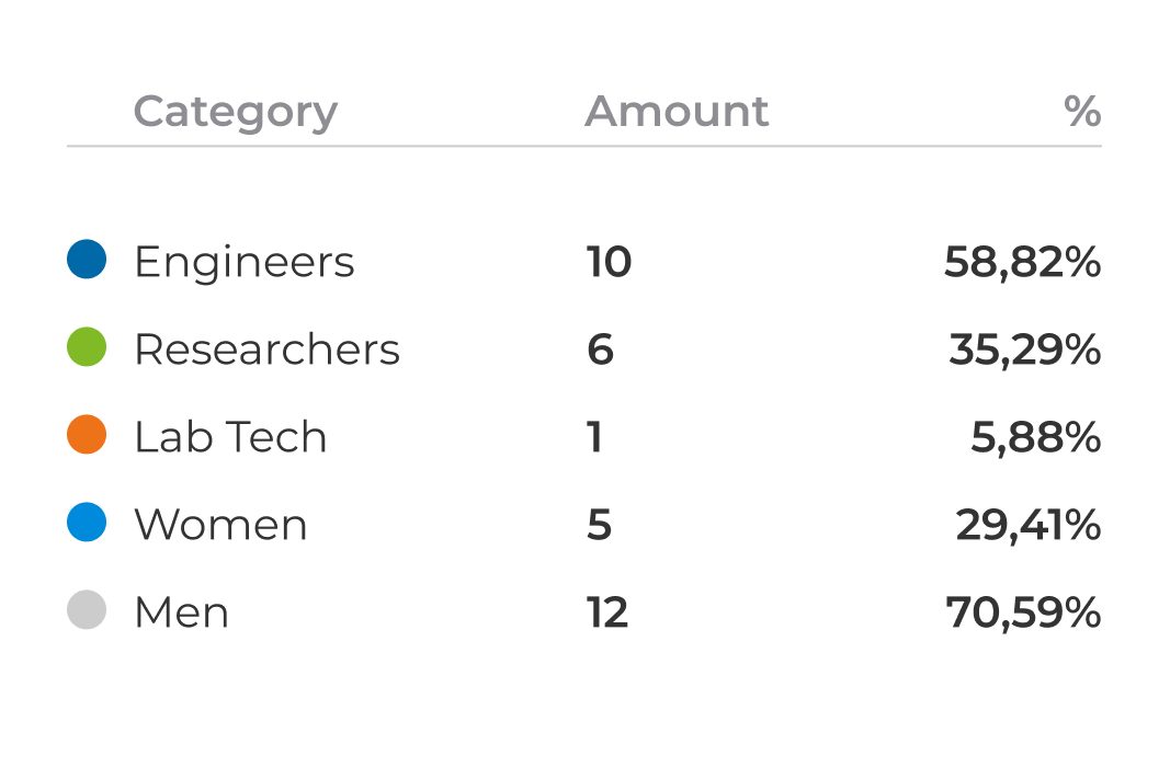 Data table illustrating the distribution of 17 team members by professional role and gender.