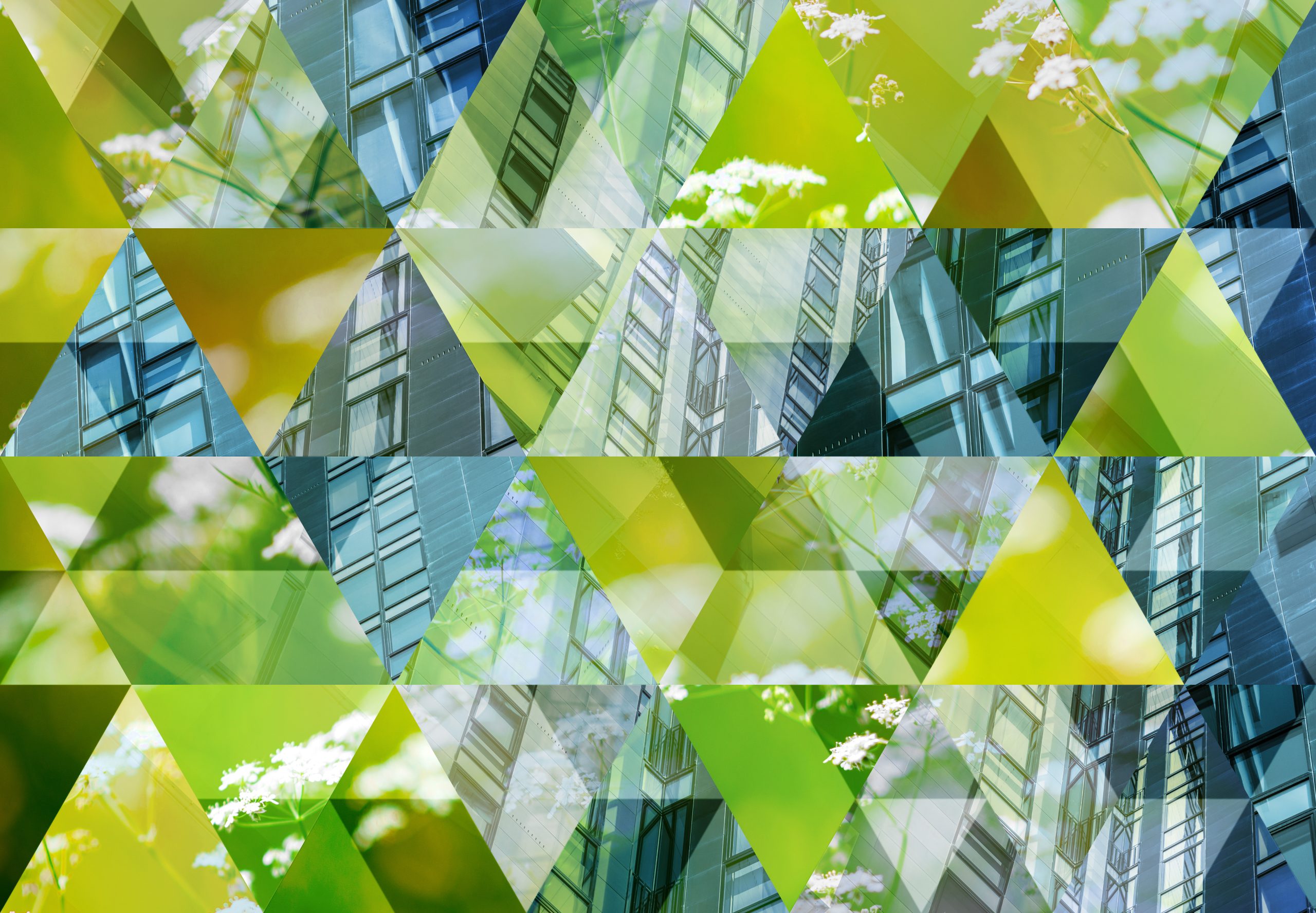 Multidisciplinary research and innovation ecosystem focused on sustainable energy