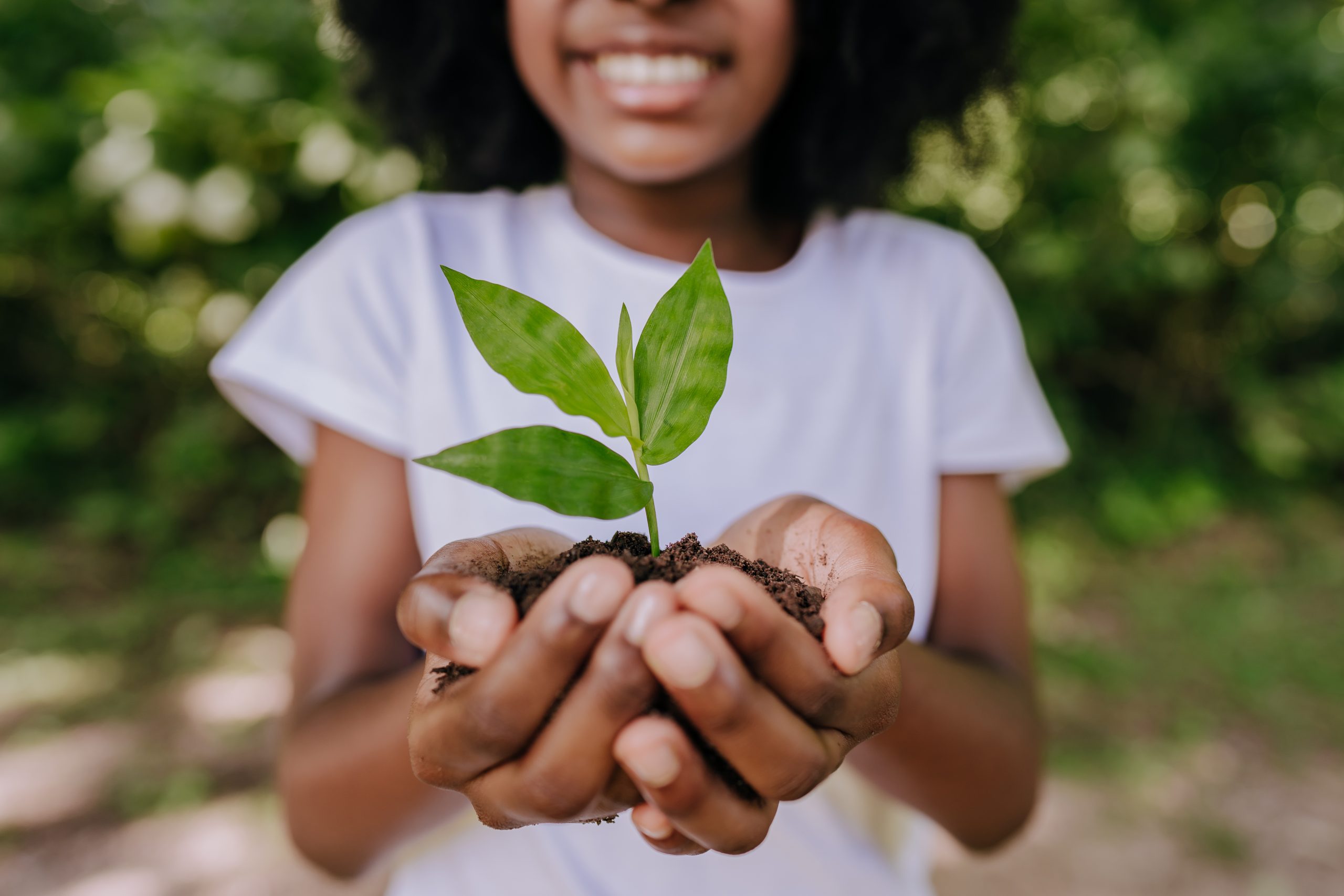 Hands holding a young green plant symbolizing sustainability and environmental care