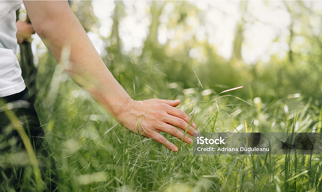 Person touching green grass symbolizing sustainability, clean energy transition, and environmental innovation